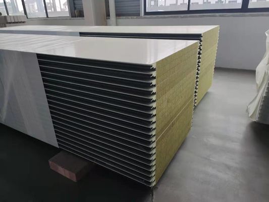Panneau mural anti-corrosion en PU 50/75/100/150/200 mm Épaisseur Variété des options