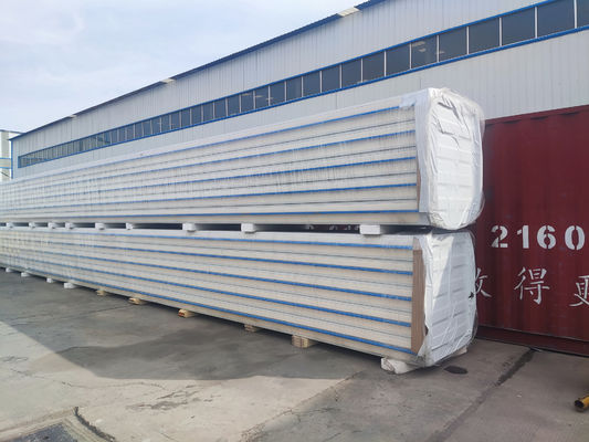 Panneau de stockage à froid personnalisable 100/150/200/250 mm d'épaisseur pour les solutions de stockage