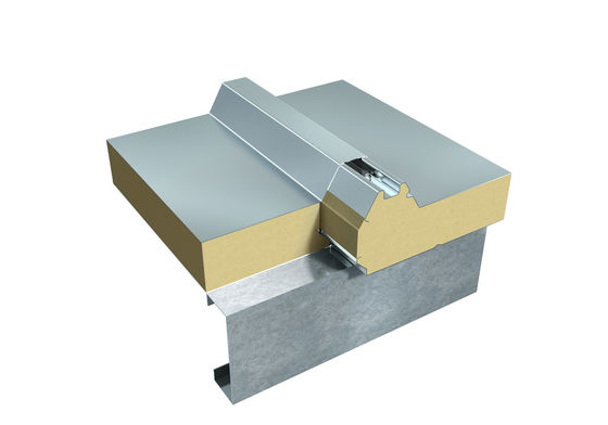 Panneau de toit en PU de couleur personnalisable avec isolation acoustique et thermique pour résidentiel et commercial