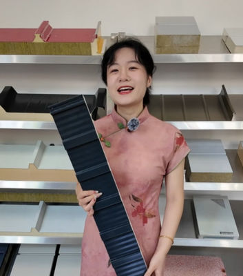 Panneau de toit étanche à l'eau personnalisable avec isolation acoustique