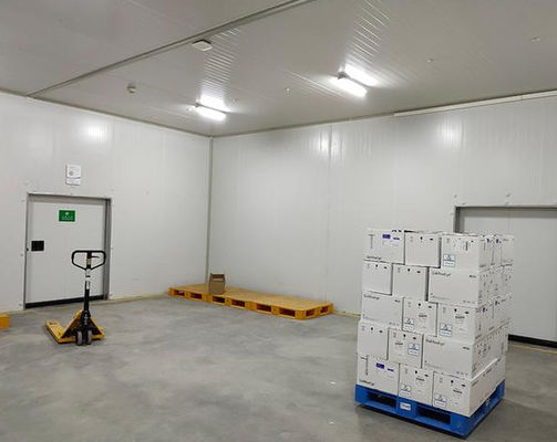Panneau de chambre froide en polyuréthane B1/B2 ignifuge pour stockage isolé sûr