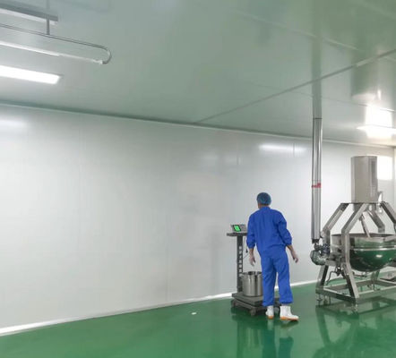 Durabilité ≥ 10 ans revêtements muraux de salle blanche personnalisables pour une protection durable