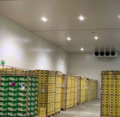 Panneau en PU de chambre froide personnalisable haute résistance à la compression 200kpa et longueur personnalisable pour des performances de refroidissement optimales