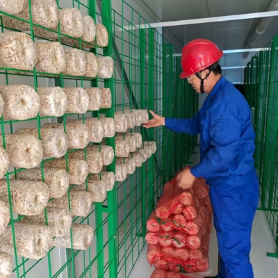 Conteneur de culture de champignons à contrôle environnemental précis
