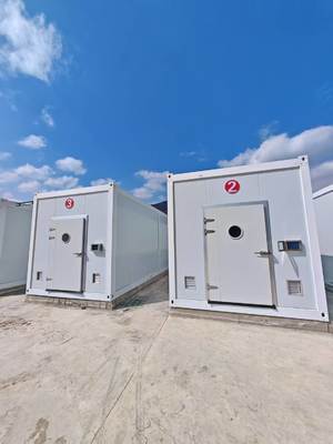 culture de champignons