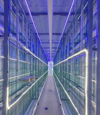 Ferme de conteneurs de champignons à faible entretien avec surveillance à distance et conteneur standard de 20 pieds ou 40 pieds