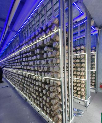 Ferme de conteneurs de champignons à faible entretien avec surveillance à distance et conteneur standard de 20 pieds ou 40 pieds