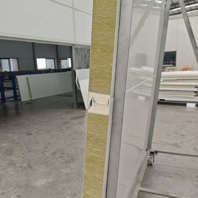 Panneaux sandwich en gros de 100 mm pour murs de chambres froides