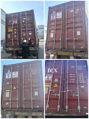 Conteneur intelligent de culture de champignons blancs, gain de place avec conception modulaire, taille personnalisée